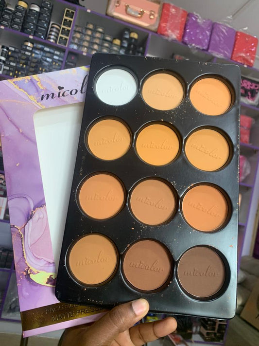 MICOLOR 12 IN 1 NEW POWDER PALETTE