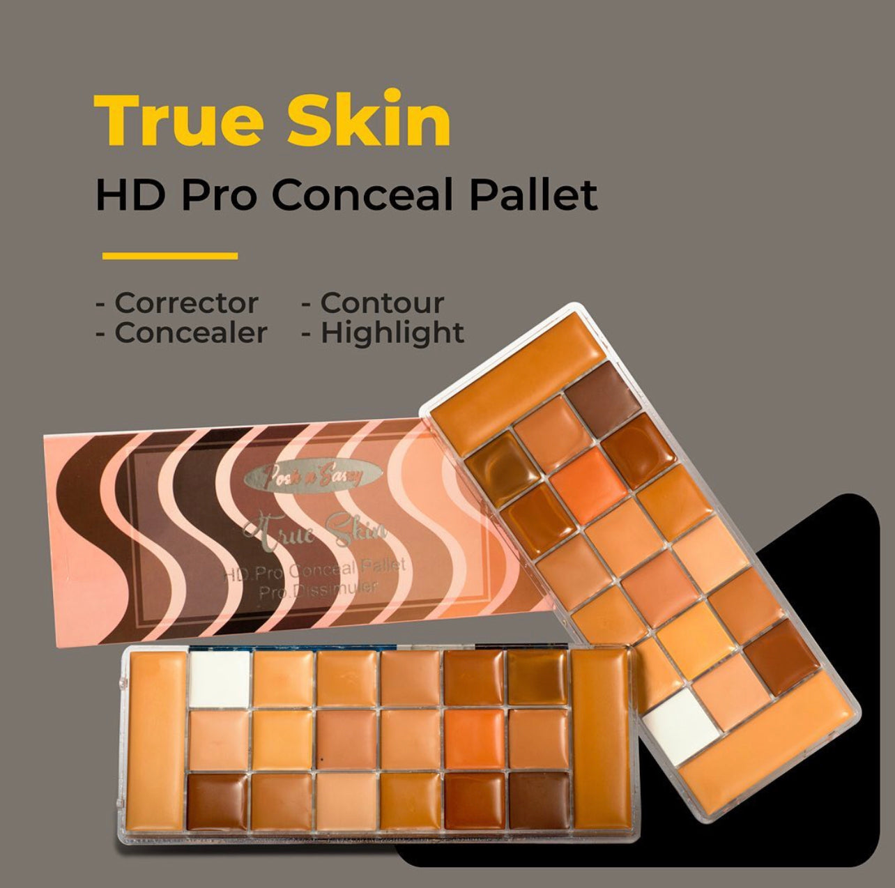 POSH AND SASSY CONCEALER PALETTE