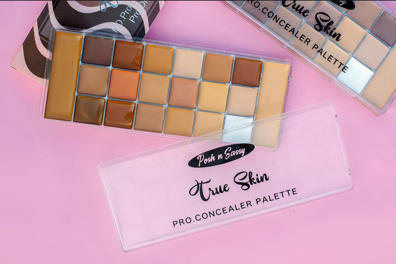 POSH AND SASSY CONCEALER PALETTE